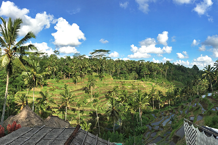 tegallalang-rice-terrace