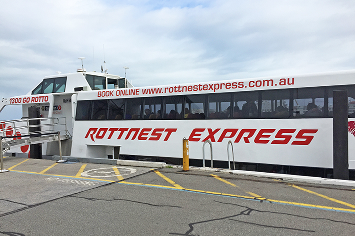Rottnest Express